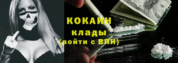 дмт Пересвет
