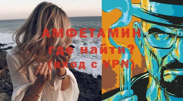 дмт Пересвет