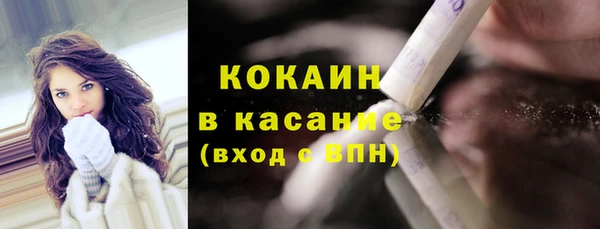 дмт Пересвет