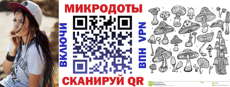 Псилоцибиновые грибы Cubensis Пласт